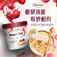 哈根达斯 Häagen·Dazs Haagen Dazs哈根达斯冰淇淋乐享大杯海外进口460ml*2