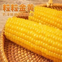 裕禧丰农 黑龙江黄糯玉米 220g*3