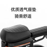 粤池久深远A8豪华版2024款新国标电动自行车锂电车铁锂小型外卖代步电自版踏板车电瓶车联名店 国标约170KM磷酸铁锂70A5色选