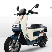 深远 SYUAN S&Y 深远 SYUANT300豪华版家用外面代步车锂电池新国标电动自行车旗舰高端车 深远 SYUANt300 深远 SYUANt300