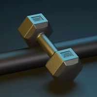糜岚(MieLanat)六角哑铃男士健身学生2kg5公斤家用10kg包胶练臂女健身器材小哑铃 单只2斤(等于1kg)
