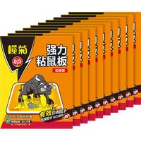 榄菊老鼠贴10片超强力粘鼠板捕鼠贴抓老鼠胶 加大加强