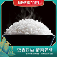 周妈家的田【京东快递】猫牙米油粘丝苗长粒香米2024年新米 【收藏加购】优先发货