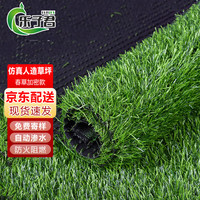 乐子君 户外草坪仿真草坪人工地垫人造地毯装饰楼顶塑料假草皮 2.5高品