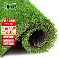 乐子君 仿真草皮 人工草坪地毯 30mm 枯色秋草 1平方