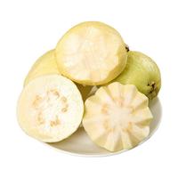 南步 奶油芭乐 3斤【约6-9个】普通装
