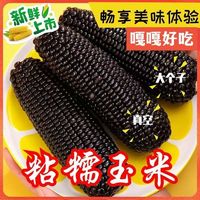 无品牌 山西黑糯玉米 真空装 2100g 10根