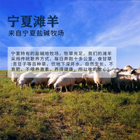 午羊 宁夏滩羊肉 生鲜肚包肉羊肉新鲜羊肚包冷冻真空袋装火锅烧烤食材 熟食羊杂900g