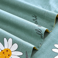 艾薇 枕套一对装 纯棉枕头套全棉枕芯套子 兰亭序（浅蓝）48*74cm 兰亭序【100%棉一对装】