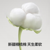 有棵树 YOUKESHU女士内裤女纯棉5A抗菌聚乳酸纤维桑蚕丝裆柔软高弹透气女生三角裤 浅绿+浅灰+白色 XL【体重125-135斤】