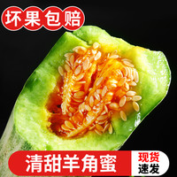 土地母亲计划 山东羊角蜜甜瓜新鲜水果当季现摘博洋72号9香脆甜蜜瓜5斤整箱包邮