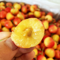 果益寿 黄金车厘子 车厘子 500g J 26-28mm