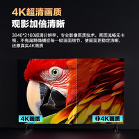 乐视 55英寸电视机4K超高清智能网络语音家用平板液晶屏幕官方正品