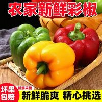 百亿补贴：秋趣 国产新鲜彩椒甜椒 3斤/5斤 包邮