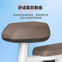 凤凰电动车小型轻便新国标电动自行车成人代步通勤电单车电瓶车 琉璃粉【  假一赔十】 【铅酸】12A天能/超威-助力续航约80公里