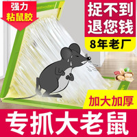 衣泽花丽 粘鼠板超强力老鼠贴老鼠药大号加厚灭耗子大鼠粘板沾胶除鼠灭鼠神器家用黏鼠板抓捉捕鼠器 强力粘鼠板10片装