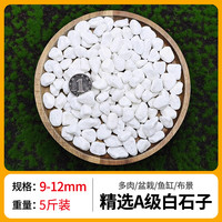 花多多 精品白石子0.9-1.2cm5斤