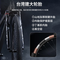 菲利普山地车女士自行车男士成年人自行车减震青少年通勤变速骑行单车 淡粉色 26寸【适合身高160-183cm】 30速巅峰版铝合金