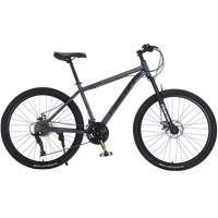 FLYING PIGEON/飞鸽 征途800 越野 山地自行车