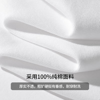 雪中飞 SNOWFLYING白色短袖t恤女2025夏季纯棉宽松半袖运动休闲风简约M 果绿色|4129-17018F 2XL (175/96A)