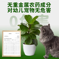 HB-101植物活力素50ml促生长兰花多肉僵苗生根液养花植物通用营养液 HB101活力液50ml
