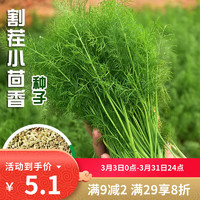 家庭种植蔬菜种子大全四季盆栽阳台庭院小菜园农家有机春夏秋籽孑 割茬茴香1包约50粒