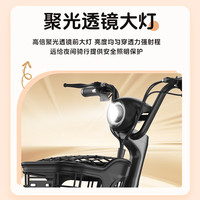 凤凰（Phoenix）电动车新国标电动自行车男女成人电瓶车长续航小型两轮代步电单车 清新绿【 假一赔十】 20A汽车级 (锂电)-助力续航100公里