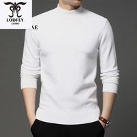 龙达飞春秋季羊毛衫男针织纯色半高领打底衫中青年毛衣男打底衫男