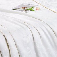 富安娜 FUANNA家纺 夏凉被100%蚕丝被子夏季空调被夏季单人双人宿舍薄被子 100%蚕丝提花抑菌-莉特 152*210cm 莉特(100%蚕丝+抑菌提花)