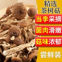 喜食锦茶树菇火锅煲汤食材 菌菇干货盖嫩柄脆50g袋装 甄选茶树菇