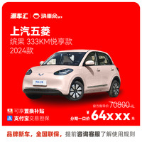 上汽通用五菱 上汽五菱缤果 直降6千 新车特价电商补贴