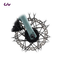 Liv 丽以芙Alight 2 DD Disc女士平把16速轻便休闲通勤公路自行车 桉树绿色