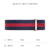 Daniel Wellington 丹尼尔惠灵顿 针扣表带18mm