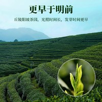 艺福堂 2025新茶预售艺福堂茶叶金螺韵碧螺春茶明前特级绿茶50g