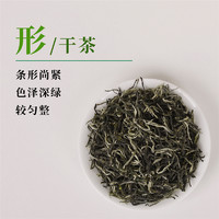 文新 信阳毛尖茶叶绿茶雨前浓香耐泡口粮茶大份量250g