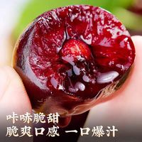 琦拉智利车厘子桑提娜5斤4JJJJ原箱礼盒装 加黑新鲜孕妇大樱桃整箱 2斤(净重) 礼盒装 巨无霸3J 单果30-32mm