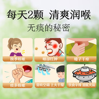 春江月冰糖金桔500g陈砂糖皮小甘草金桔雪桔橘干泡水金橘蜜饯果脯零食 【冰糖金桔干】500g*1罐