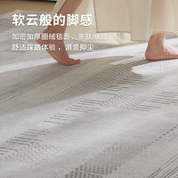 布迪思地毯客厅轻奢高级感防水防滑加厚大尺寸满铺免洗可擦地毯2024 百搭灰07
