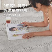 布迪思地毯客厅轻奢高级感防水防滑加厚大尺寸满铺免洗可擦地毯2024 百搭灰01