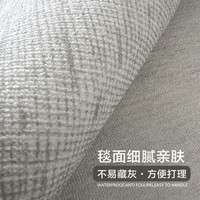 布迪思轻奢高级感防水防滑加厚地毯大尺寸满铺免洗可擦2024