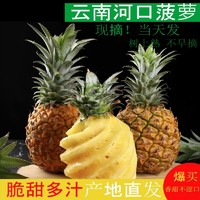 河口菠萝酸甜多汁脆嫩爽口新鲜精品水果产地直发