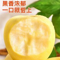 京地达山东黄金维纳斯苹果水果生鲜奶油苹果净重4.5斤单果75mm+源头 维纳斯苹果|净重4.5斤|蜜甜爽脆