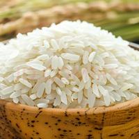 响水庄园【京东快递】2024年新米 东北大米 石板大米 长粒香米5斤真空手拎袋