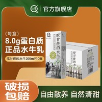 认养 4.0g蛋白质 吃甘蔗的水牛 纯牛奶