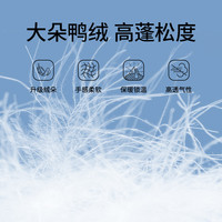 班尼路男士羽绒服2024冬季连帽保暖夹克黑色加绒宽松外套男LF 【PR01羽绒服】浅灰(纯色) 2XL