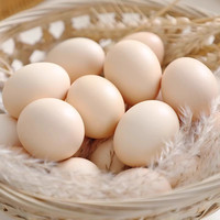 新鲜谷物鸡蛋农家散养初生蛋柴鸡蛋笨鸡蛋月子鸡蛋