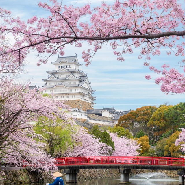 大降！樱花季逆跌！上海=大阪700+！多地出发都有票！