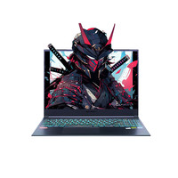 MECHREVO 机械革命 旷世16Pro 16英寸 游戏本 星际灰(Intel Core i7 13700HX、RTX 4070 8G、16GB、1TB、2560*1600、240Hz)