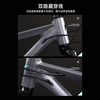 邦得利（世界冠军）山地自行车成人男铝合金变速女青少年单车 26英寸 27速