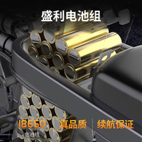 新日折叠电动车新国标电动自行车铝合金超长续航代驾折叠电动车锂电池助力电瓶车 尊享顶配版-铝合金材质-定速巡航-能量回收 A品电芯-20A纯电约:80km(安数)